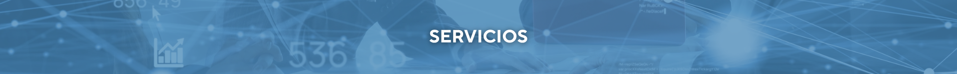APG Consultoría - banner servicios