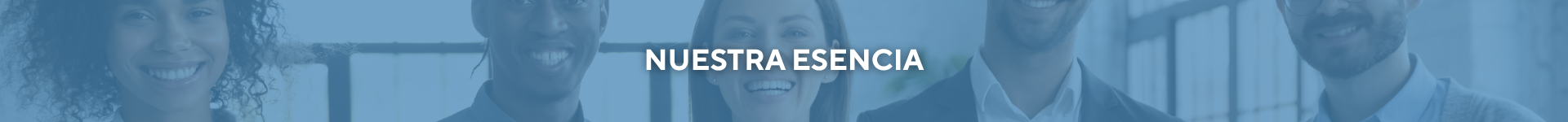 APG Consultoría - banner nuestra esencia